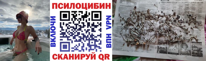 Псилоцибиновые грибы Magic Shrooms  наркошоп  Саратов 
